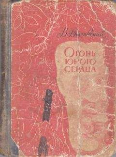 Владимир Выговский - Огонь юного сердца