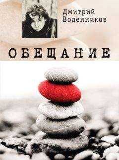 Дмитрий Воденников - Обещание