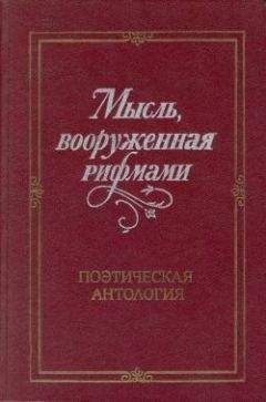 Владислав Холшевников - Мысль, вооруженная рифмами