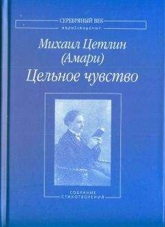 Михаил Цетлин (Амари) - Цельное чувство