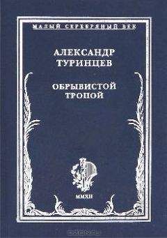 Александр Туринцев - Обрывистой тропой