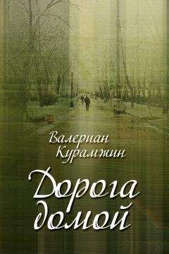 Валериан Курамжин - Дорога домой (сборник)