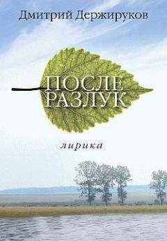 Дмитрий Держируков - После разлук