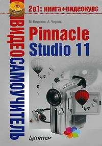 Михаил Беляков - Pinnacle Studio 11