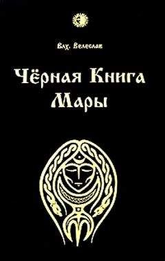 Илья Черкасов - Черная книга Мары