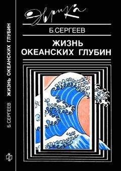 Борис Сергеев - Жизнь океанских глубин