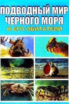 Евгения Искив - Подводный мир Черного моря
