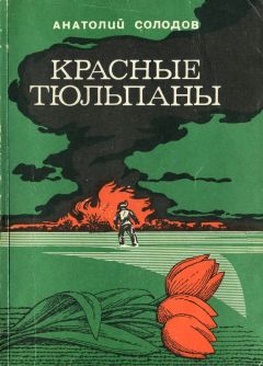 Анатолий Солодов - Красные тюльпаны