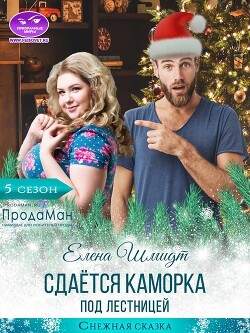 Сдаётся каморка под лестницей (СИ) - Шмидт Елена