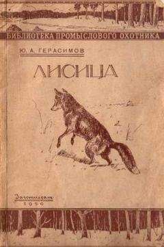 Юрий Герасимов - Ю.А. Герасимов Лисица