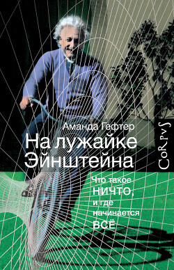 На лужайке Эйнштейна. Что такое ничто, и где начинается всё - Гефтер Аманда