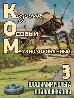 КОМ 3 (СИ) - Войлошникова Ольга