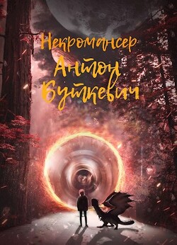 Некромансер (СИ) - Буткевич Антон