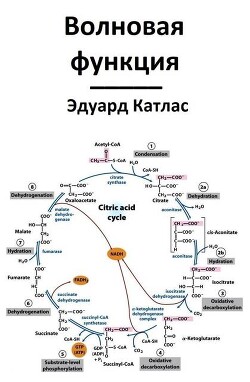 Волновая функция (СИ) - Катлас Эдуард