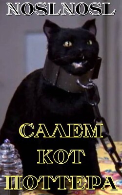 Салем кот Поттера (СИ) - Абрамов Владимир "noslnosl"