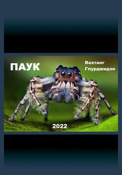 Паук (СИ) - Глурджидзе Вахтанг "Вахо Глу"