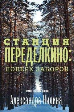 Александр Нилин - Станция Переделкино: поверх заборов