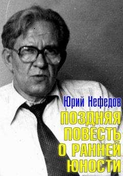 Юрий Нефедов - Поздняя повесть о ранней юности