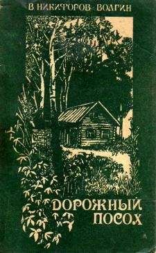 Василий Никифоров–Волгин - Рассказы