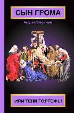 Андрей Зверинцев - Сын Грома, или Тени Голгофы